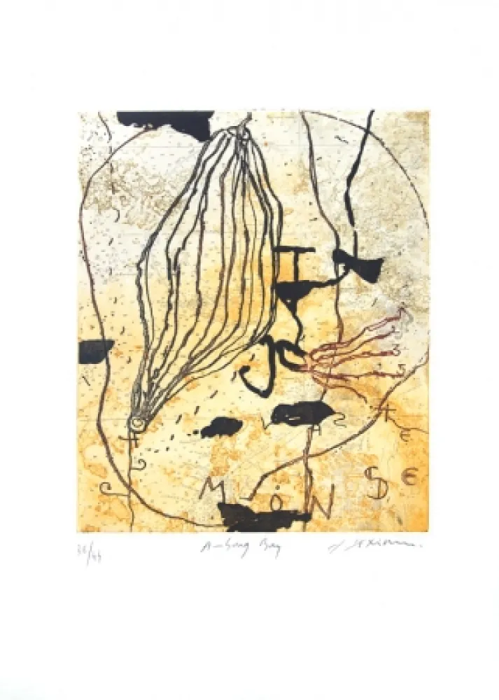 蚀刻飞尘法 Texier - Ambong Bay