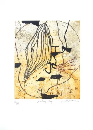 蚀刻飞尘法 Texier - Ambong Bay