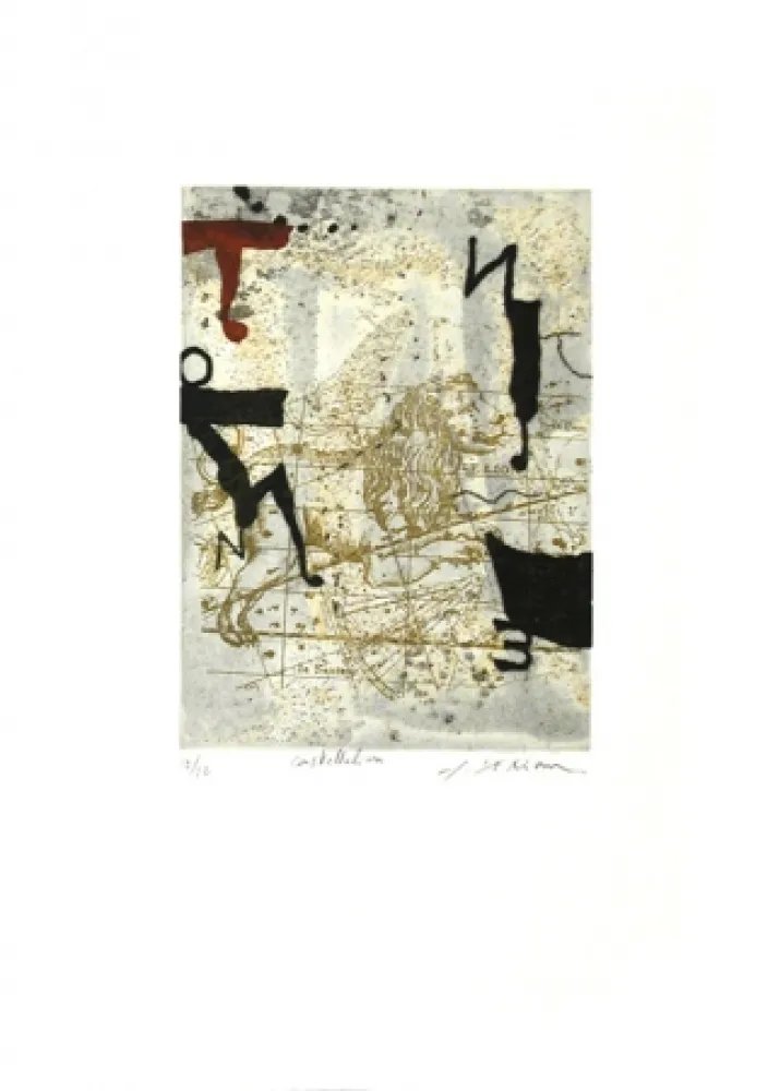 蚀刻飞尘法 Texier - Constellation