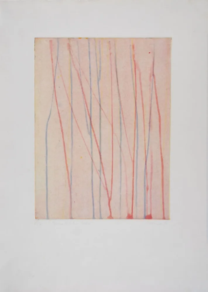 蚀刻飞尘法 Thoma - 