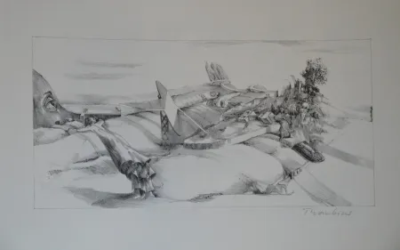 石版画 Thomkins - 