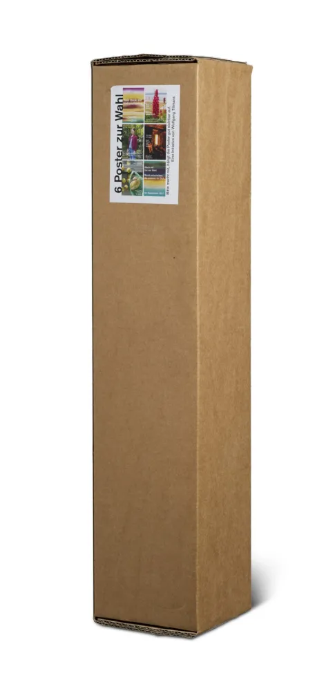 胶版印刷 Tillmans -  