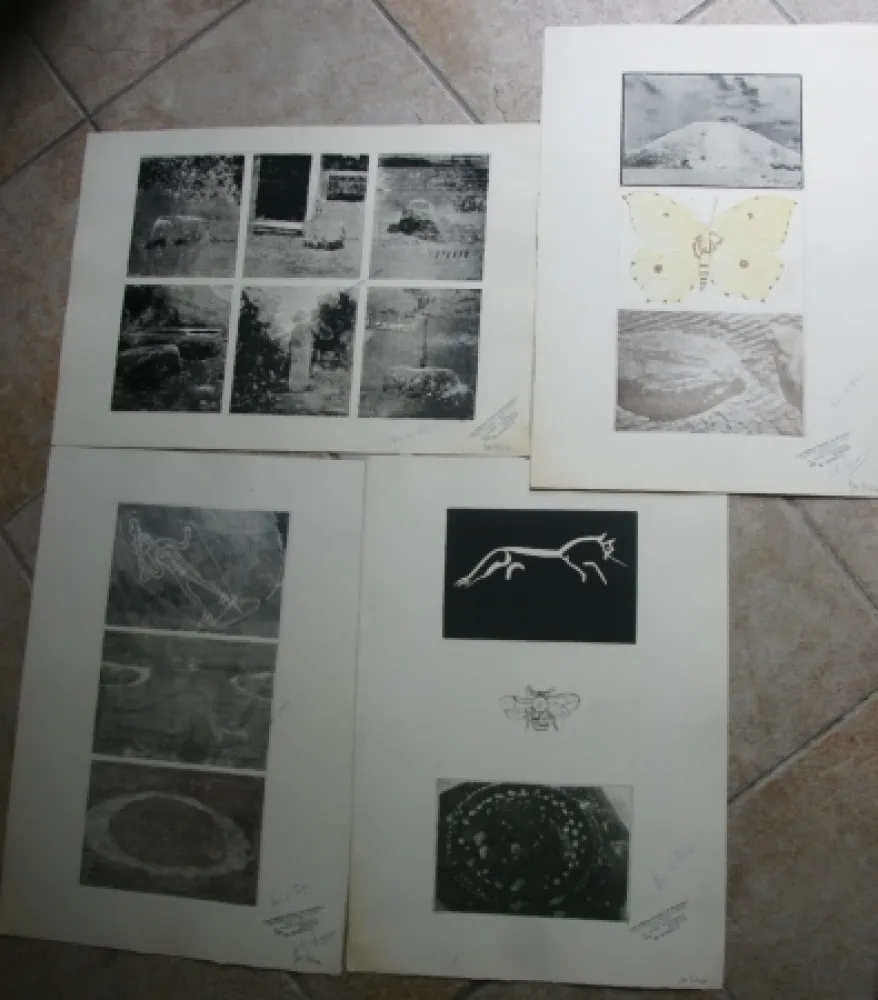 版画 Tilson - 15 prints on four sheets, 1 hand coloured