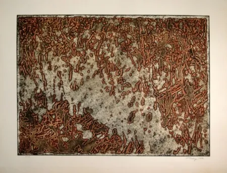 飞尘腐蚀法 Tobey - Message from a desert Star