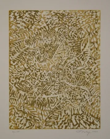 飞尘腐蚀法 Tobey - Transitions