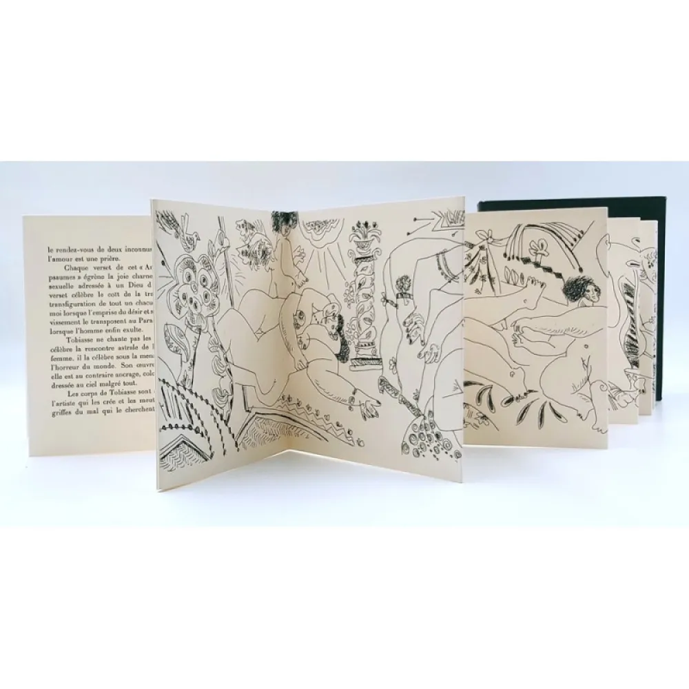 插图书 Tobiasse - Amour couleur de Psaumes