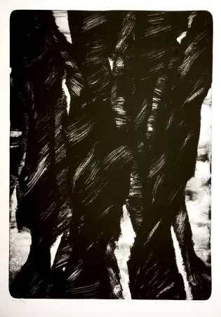 石版画 Tøjner - Dark shadows of central park