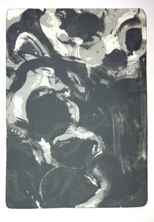 石版画 Tøjner - Recherche de formes dispersées IV