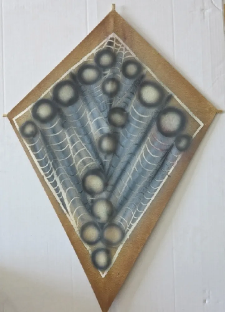 丝网印刷 Toledo - Abstract large spider web kite