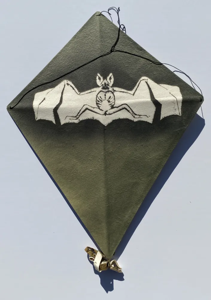 无技术 Toledo - Bat on Green Background Kite