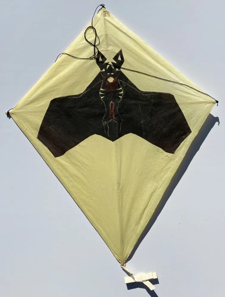 无技术 Toledo - Bat on Yellow Background Kite
