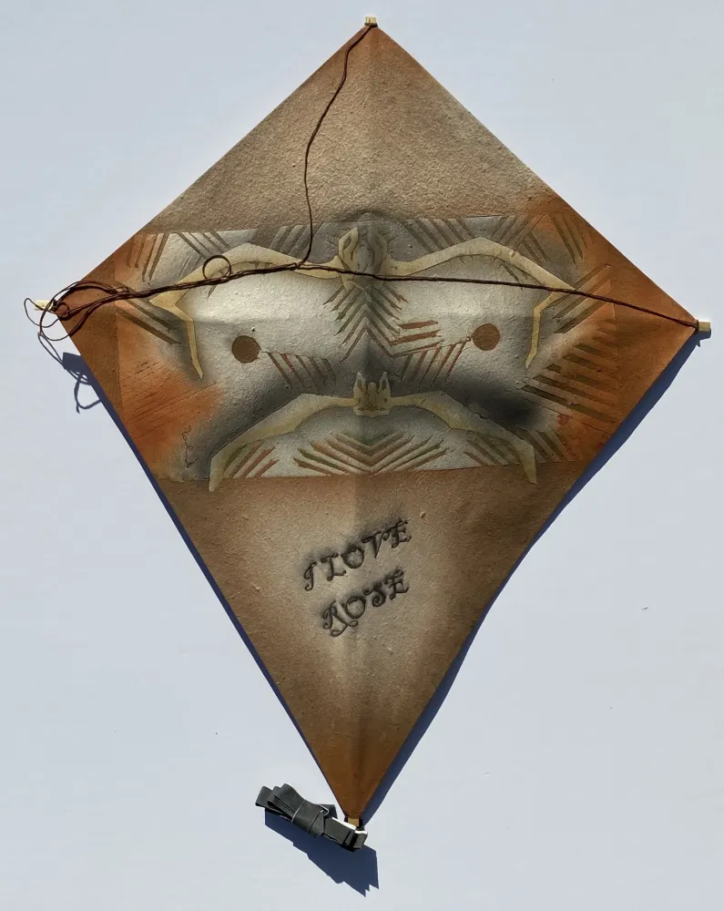 无技术 Toledo - Bats Kite