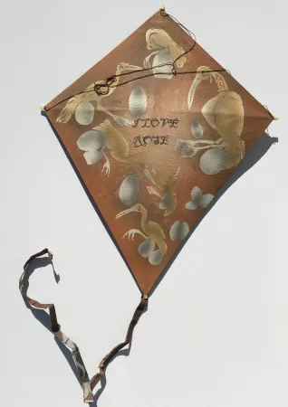 无技术 Toledo - Birds with Eggs Kite