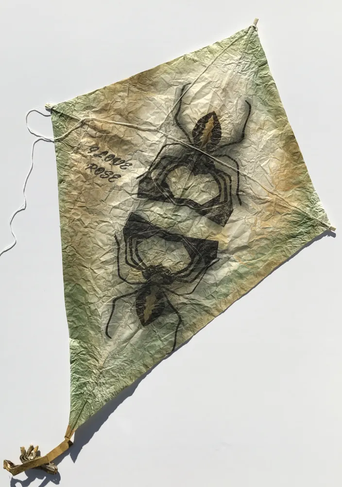 无技术 Toledo - Black Spiders Kite