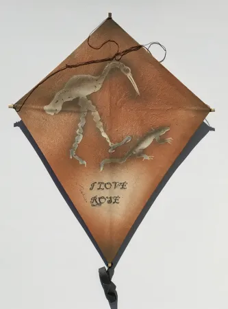 无技术 Toledo - Crane and Iguana Kite