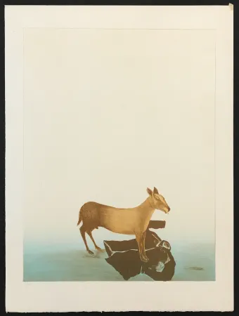 版画 Toledo - Dog and Shirt