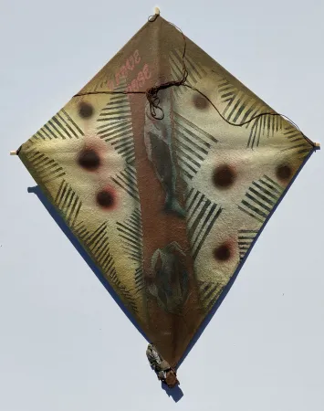 无技术 Toledo - Fish and Crab Kite