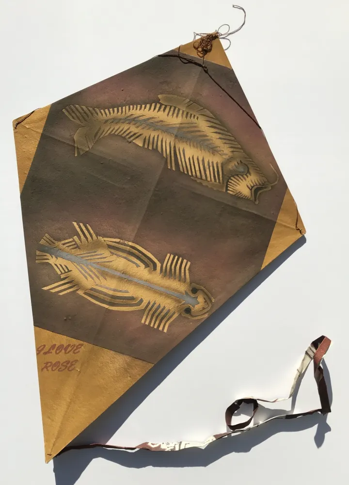 无技术 Toledo - Fish and Turtle Kite