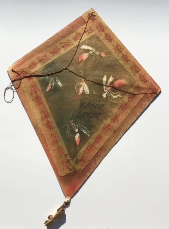 无技术 Toledo - Mosquitos Kite