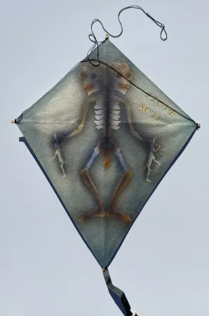 无技术 Toledo - Skeleton with Rabbits Kite