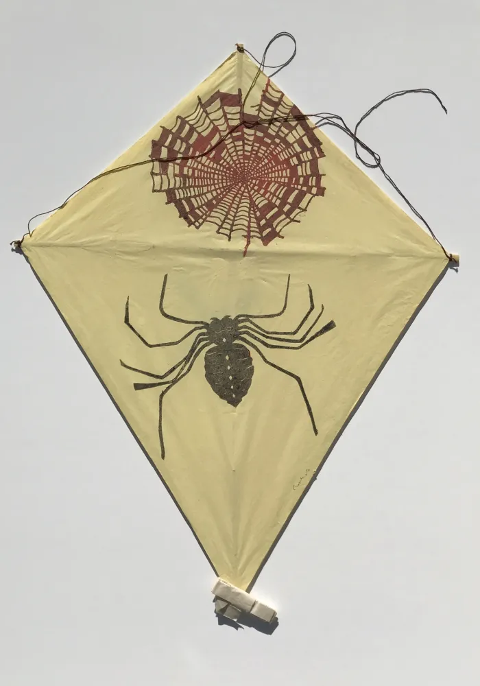 无技术 Toledo - Spider and Web Kite