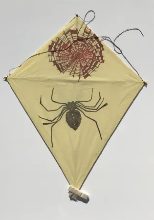 无技术 Toledo - Spider and Web Kite