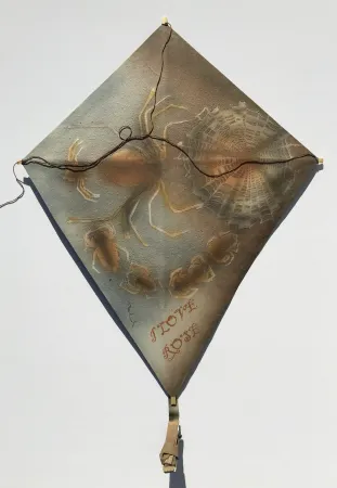 无技术 Toledo - Spiders with Web Kite