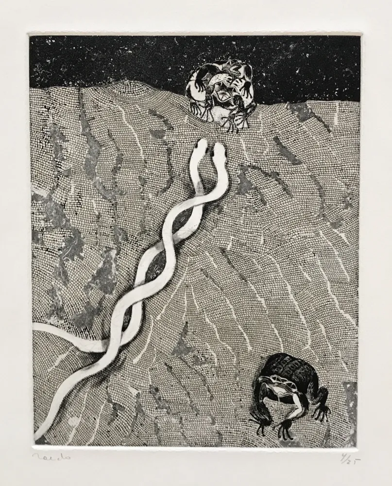 版画 Toledo - The Path of the Toad