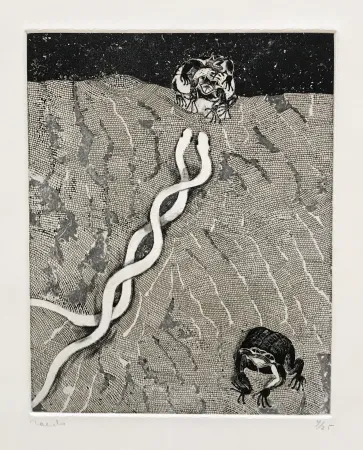 版画 Toledo - The Path of the Toad