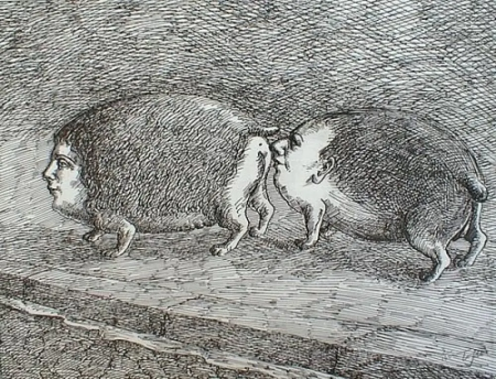 版画 Topor - Senza titolo