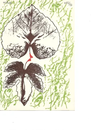石版画 Toyen -  Krabicka prvni pomoci - Boîte alerte (1959)