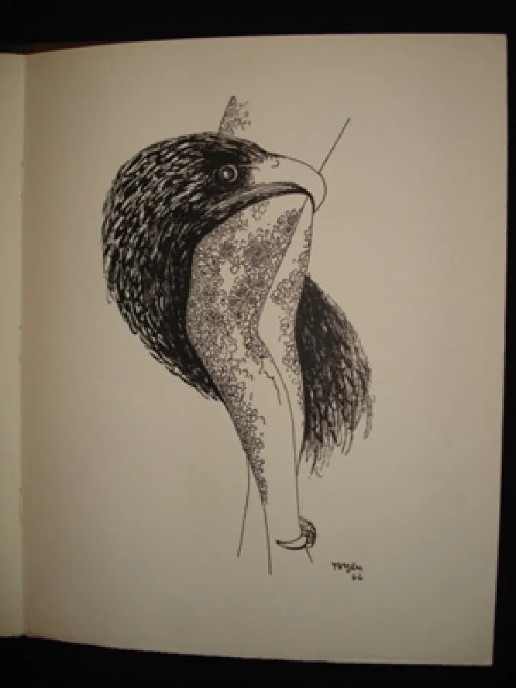 插图书 Toyen - Le puits dans la tour / TOYEN. Débris de rêves