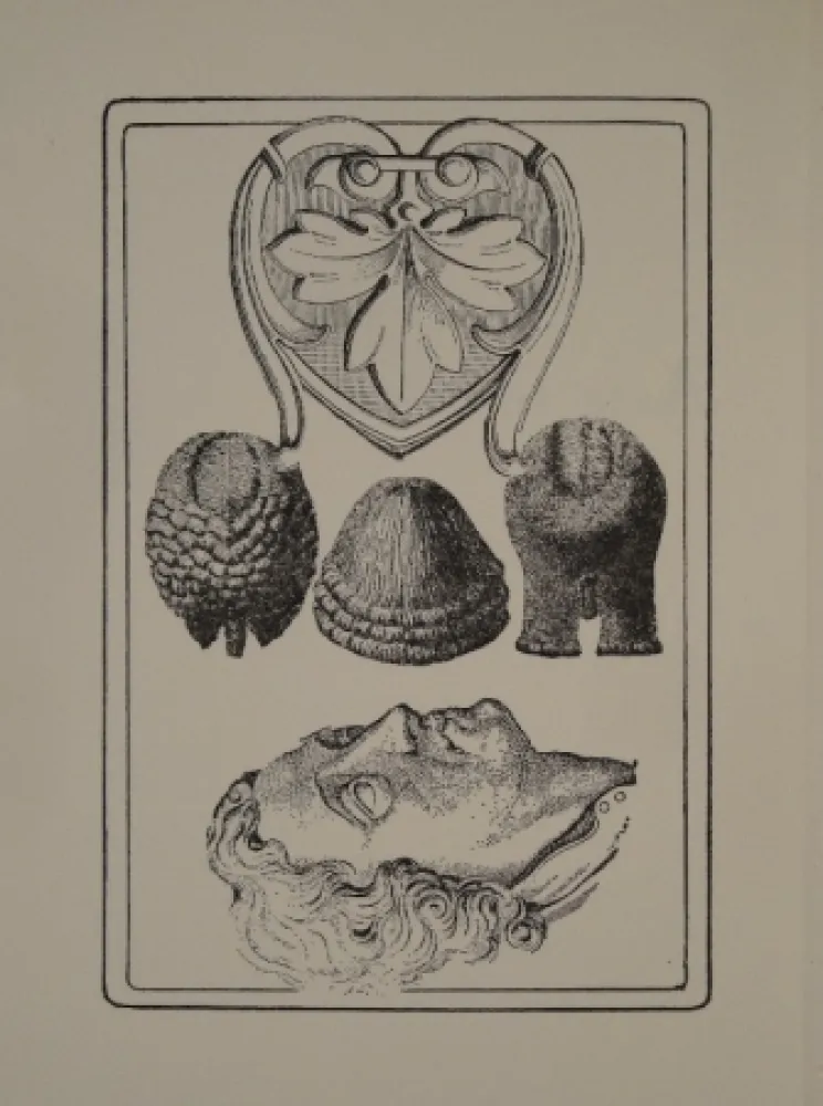 插图书 Toyen - Le Roi Gordogane