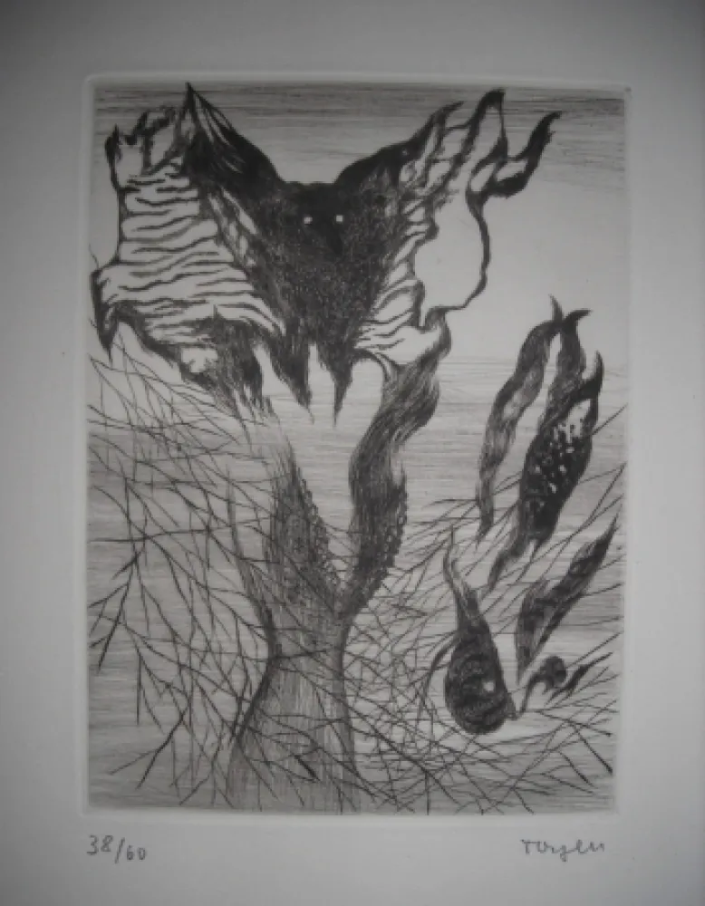 蚀刻版画 Toyen - The international avant garde 2