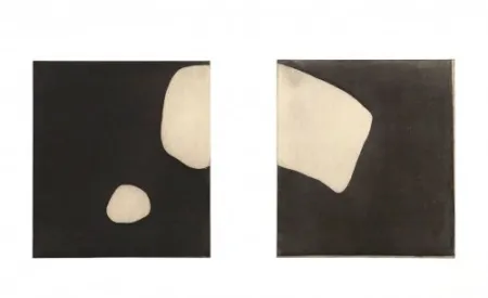 复数作品 Treleaven - Without title