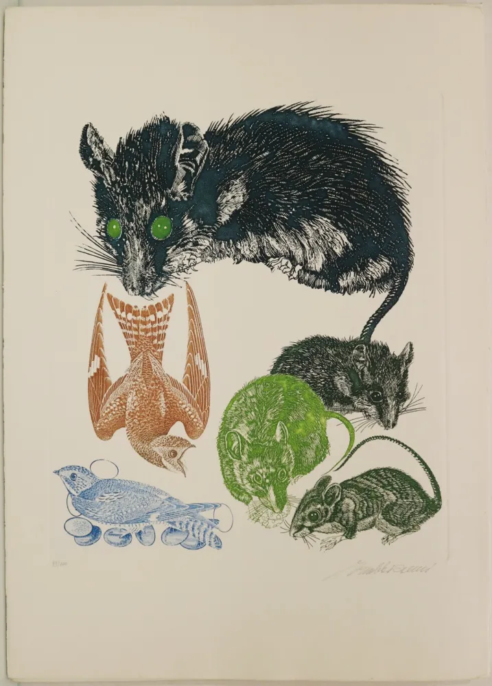 蚀刻版画 Trubbiani - Senza titolo