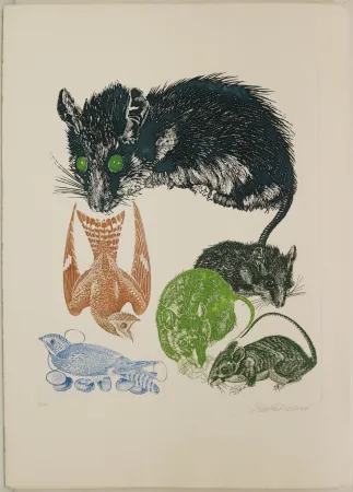 蚀刻版画 Trubbiani - Senza titolo