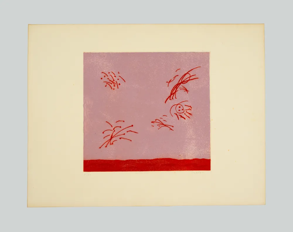 蚀刻飞尘法 Turcato - Composizione