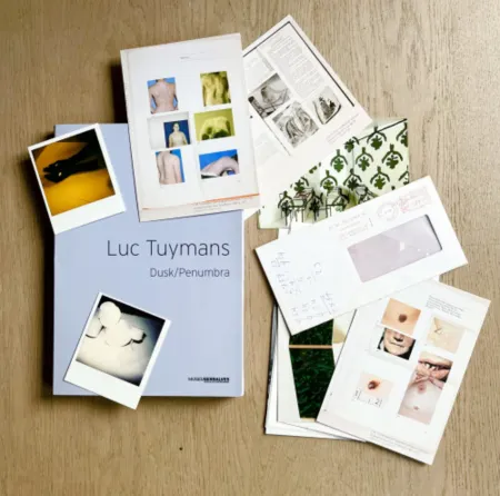 复数作品 Tuymans - Dusk/Penumbra (book)