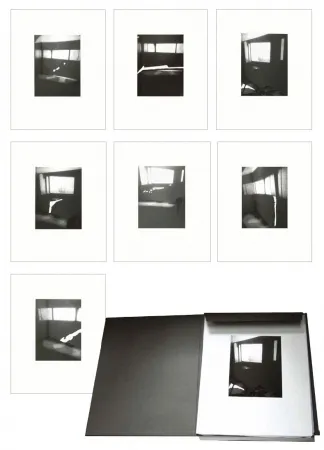 复数作品 Tuymans - Fenêtres