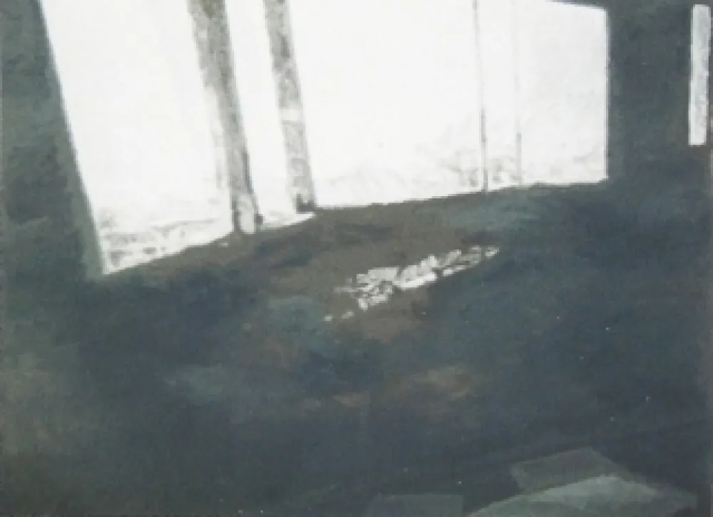 丝网印刷 Tuymans - Fenêtres