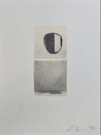 丝网印刷 Tuymans - Het versluierd beeld