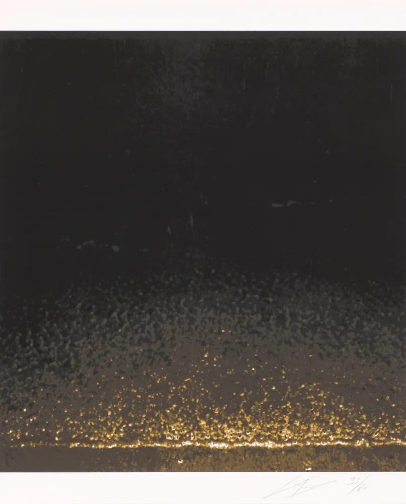 丝网印刷 Tuymans - Shore