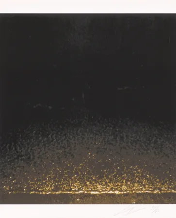 丝网印刷 Tuymans - Shore