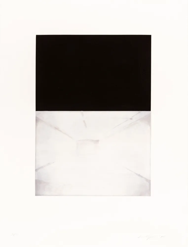 蚀刻飞尘法 Tuymans - The Temple 01