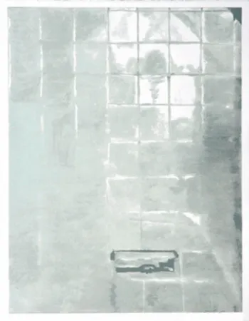 丝网印刷 Tuymans - Tiles