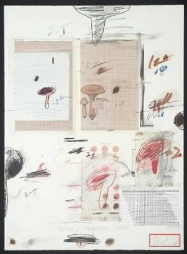 石版画 Twombly - Natural History Part I: Mushrooms IV