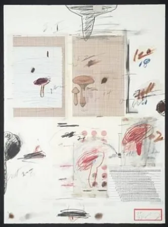 石版画 Twombly - Natural History Part I: Mushrooms IV