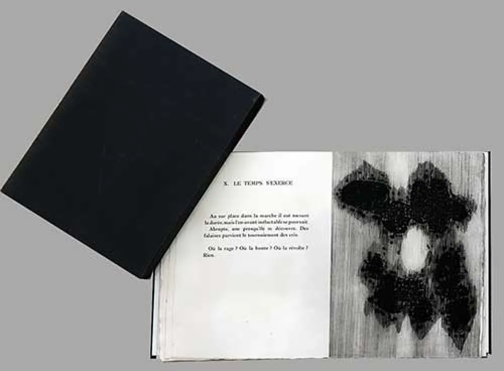 插图书 Ubac - Lisière du devenir