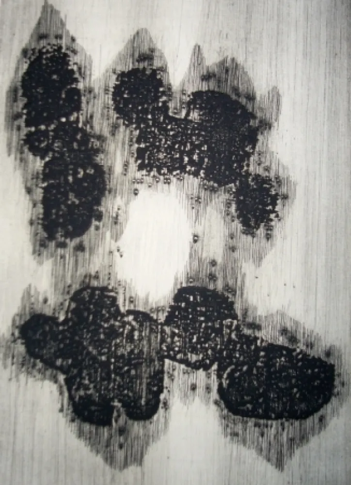 插图书 Ubac - Lisière du devenir